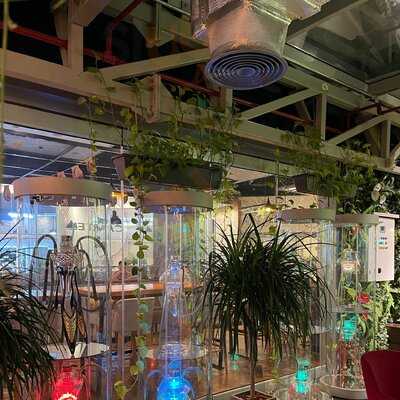 ‪cartel Restaurant & Cafe‬