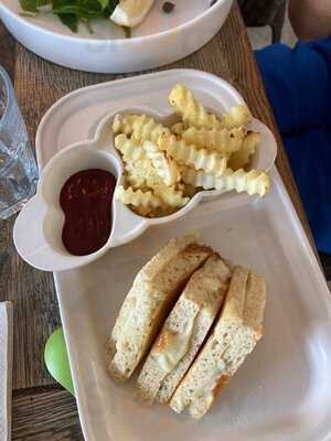 ‪the Lime Tree Cafe & Kitchen - Motor City‬