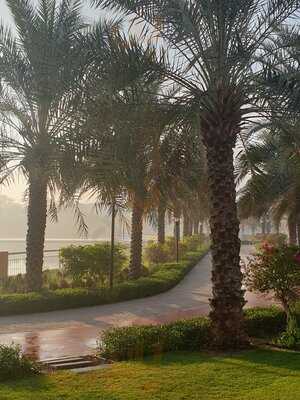 ‪circle Café Jumeirah Islands‬