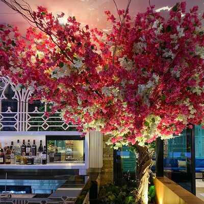 ‪cloud Restaurant & Lounge‬