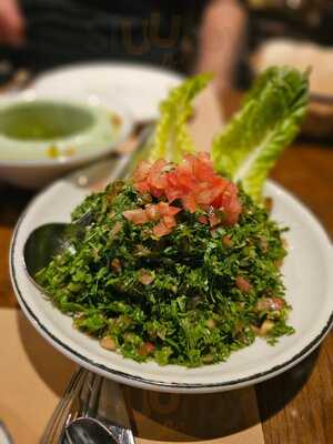 ‪al Beiruti Sheikh Zayed‬