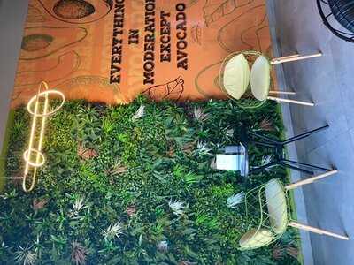 ‪avocadolicious‬