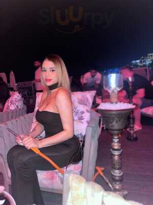 ‪orange Chameleon‬