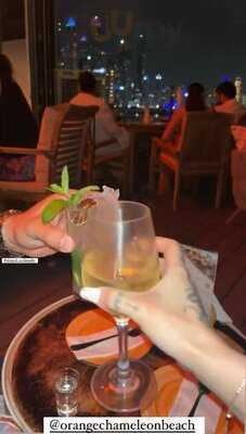 ‪orange Chameleon‬