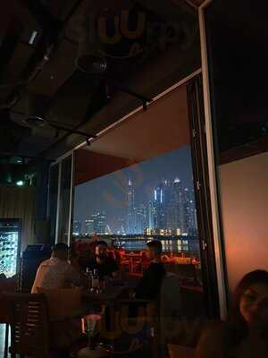 ‪orange Chameleon‬