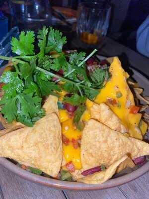 ‪orange Chameleon‬