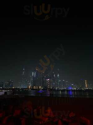 ‪orange Chameleon‬