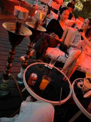 ‪orange Chameleon‬