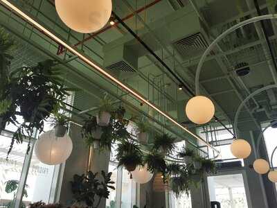 ‪friends Avenue Cafe‬