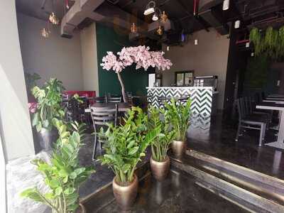 مطعم كوكو& اوركيد