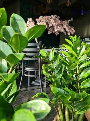 مطعم كوكو& اوركيد