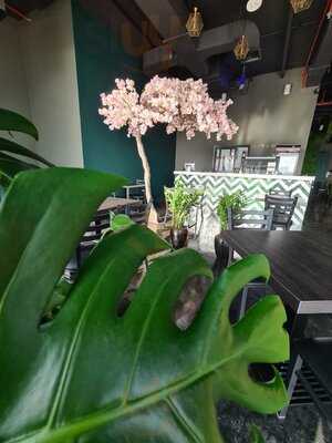 مطعم كوكو& اوركيد