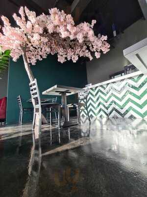 مطعم كوكو& اوركيد