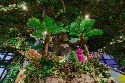 ‪rainforest Cafe‬