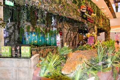 ‪rainforest Cafe‬