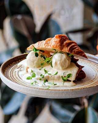 ‪my Speciality Coffee‬