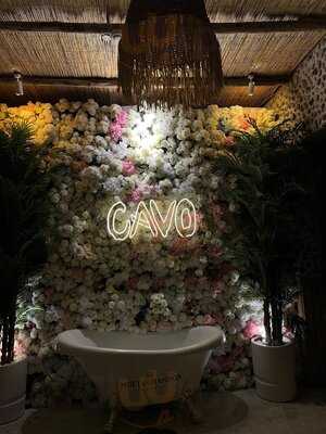‪cavo Dubai‬