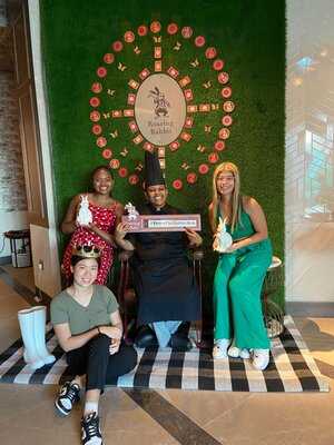 ‪roaring Rabbit‬