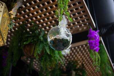 ‪farm City Dubai‬