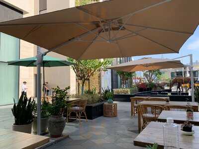 ‪green Earth Cafe‬