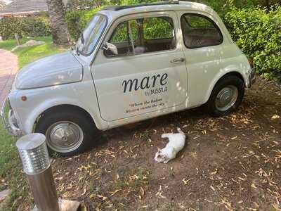 ‪mare By Bussola‬