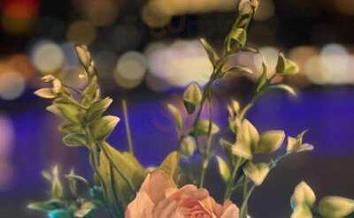 ‪la Letizia Café & Restro‬