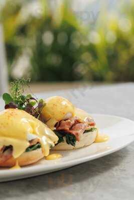 ‪delizie Caffè Gourmet‬