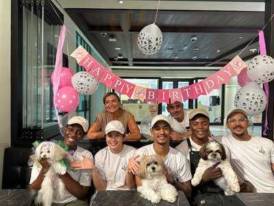 ‪pawdy Neighbors‬