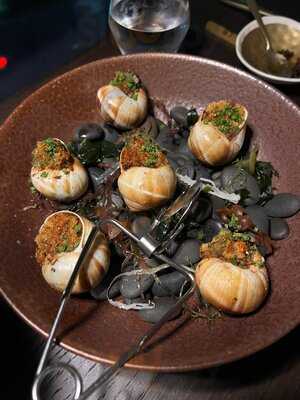 ‪the Citronelle Club‬