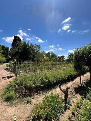 Zonda Cocina De Paisaje