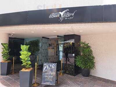 Blackbird Bar And Grill