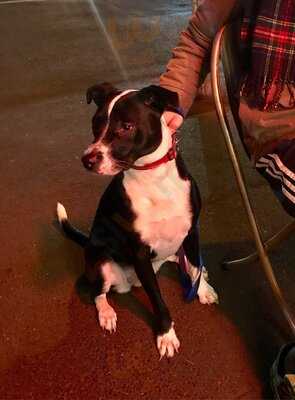 Gelato Messina Richmond