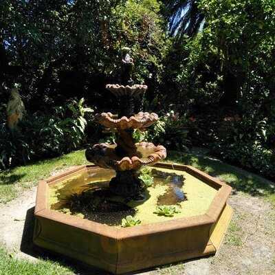 The Tea Room At The Gables