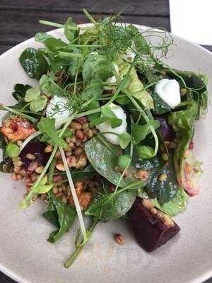 The Seasonal Kitchen