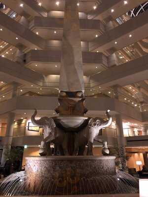 Cafe - Hyatt Regency