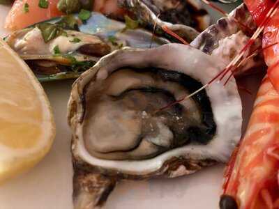 Cafe - Hyatt Regency