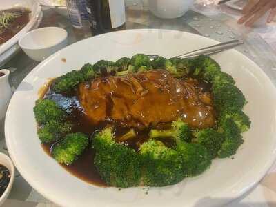 Fortune Five Northbridge