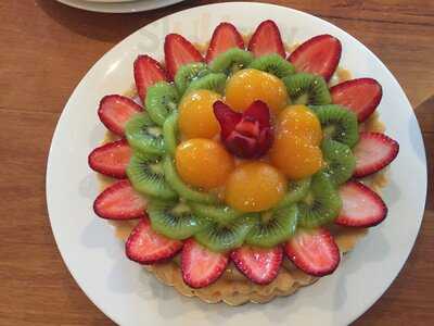 Fleischer Continental Cakes