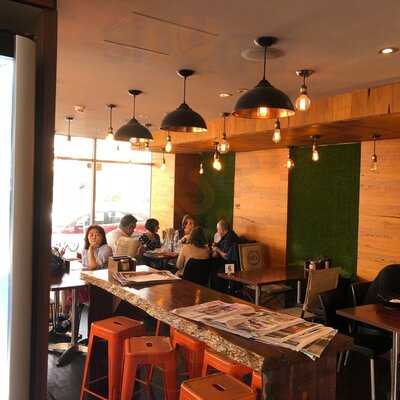 Kinky Lizard Espresso Bar