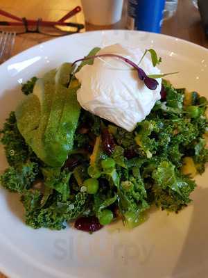 The Dihnersaw And His Fionsay