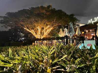 Medley Kangaroo Point