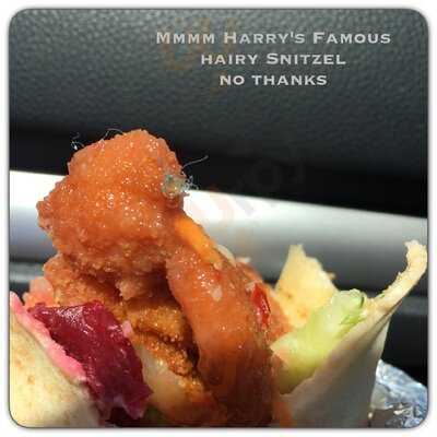 Harry's Schnitzel Joint- The Junction