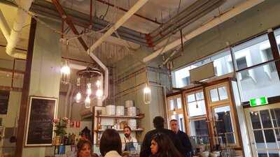 Handsome And The Duchess