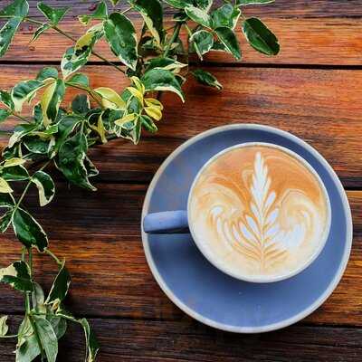 The Beehive Honeysuckle