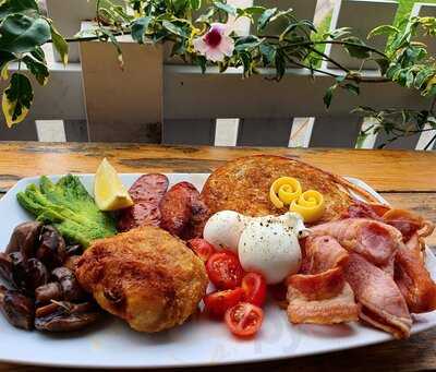 The Beehive Honeysuckle