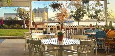 The Beehive Honeysuckle