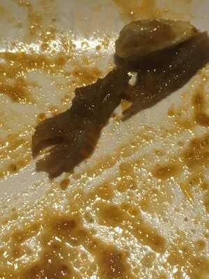 Utopia Vegetarian Restaurant (halal)