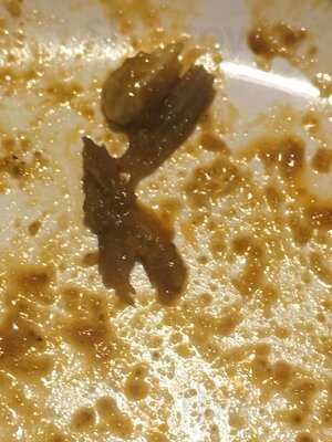 Utopia Vegetarian Restaurant (halal)