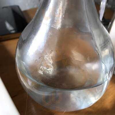 The Fishmonger's Wife