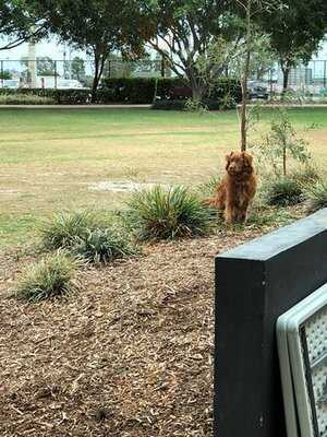 Northshore Harbour Cafe